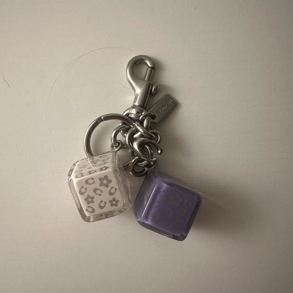 Coach Dice Keychain